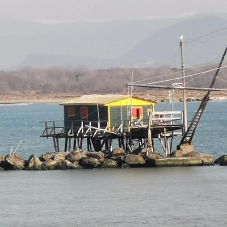 Casa Galileo- Antiche Dimore Pisane ภายนอก รูปภาพ